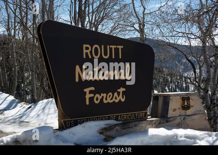 Routt National Forest Sign in Colorado on a Snowy Day Stock Photo