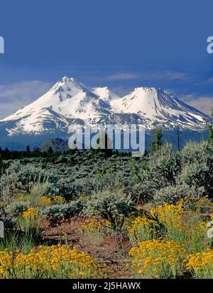 Mt. Shasta, Cascade Range, California Stock Photo