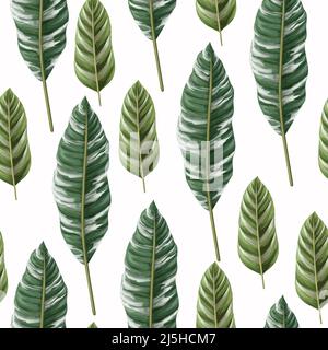 Seamless pattern with tropical striped leaves. Vector. Stock Vector