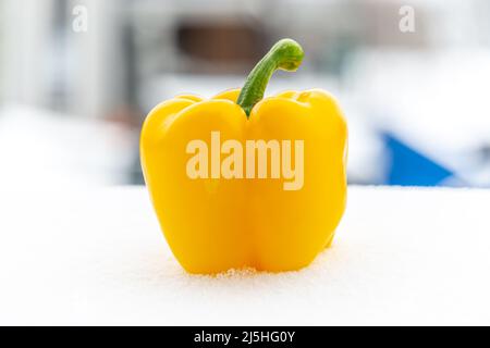 close-up of a bell pepper fallen in cold snow Stock Photo