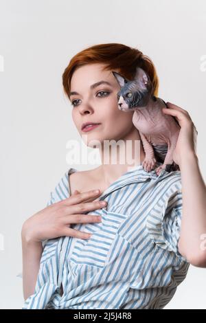 Canadian Sphynx Cat sitting on shoulder of redhead young woman. Hipster female with short hair dressed in striped white-blue shirt. Studio shot Stock Photo