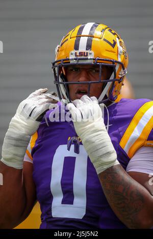 Baton Rouge, LA, USA. 23rd Apr, 2022. LSU defensive lineman Maason Smith (0) straps his helmet and gets ready to play during the National L Club LSU Football Spring Game at Tiger Stadium in Baton Rouge, LA. Jonathan Mailhes/CSM/Alamy Live News Stock Photo