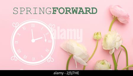 Beautiful ranunculus flowers and drawing of clock on pink background. Spring forward Stock Photo