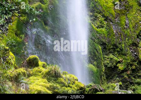 Whisky Falls, near Lake Rotoiti, Nelson Lakes National Park, South Island, New Zealand Stock Photo