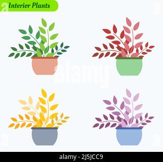 Plants with pots flat vector icon set. Set of 4 icons Stock Vector