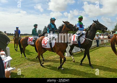 KUMARA, NEW ZEALAND, JANUARY 8, 2022; jockeys ride their mounts back to the winners' circle after a race at the Gold Nuggets competition at the Kumara Stock Photo