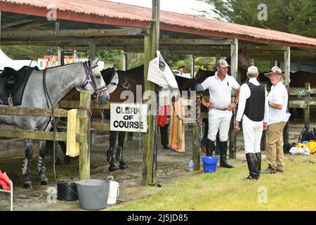 KUMARA, NEW ZEALAND, JANUARY 8, 2022; The clerks of the course and a trainer discuss events before a race at the Gold Nuggets competition at the Kumar Stock Photo