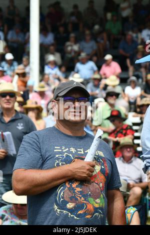 KUMARA, NEW ZEALAND, JANUARY 8, 2022; a racegoer waches the action with interest at the Gold Nuggets competition at the Kumara Race Track, January 8, Stock Photo