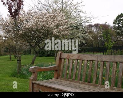 Dublin Ireland Botanic garden flowers creeks and forest Stock Photo