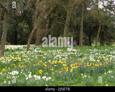 Dublin Ireland Botanic garden flowers creeks and forest Stock Photo