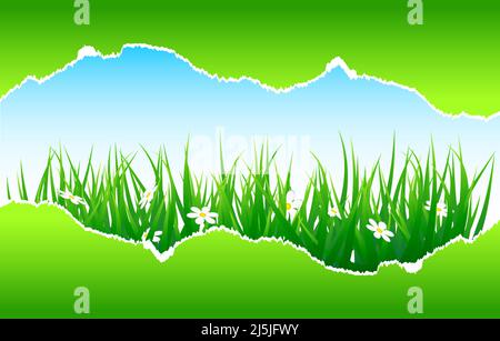 Green color torn paper with grass and flower. Vector illustration Stock Vector