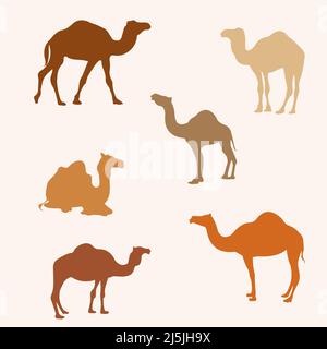 Camel colorful Vector element set Stock Vector