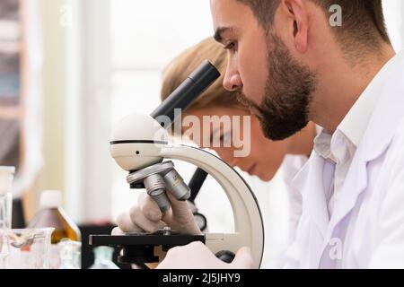 Two scientist colleagues are using microscopes during research work in a laboratory Stock Photo