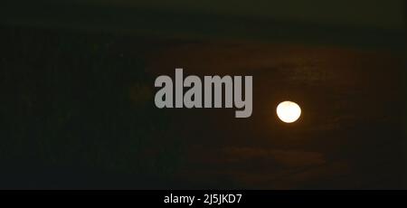 moon spreading light with tree and electric wire in house on night Stock Photo