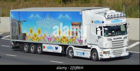 Colourful flower graphic on Transwhite Portuguese haulage business articulated delivery trailer& white SCANIA hgv lorry truck driving UK motorway road Stock Photo