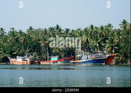 Traditional fishing boat in backwater near Kollam state Kerala India 02 01 2010 Stock Photo