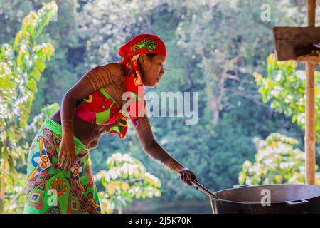 Embera Indian with traditional clothes in a dugout on Chagres River ...