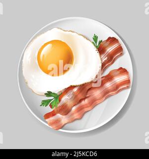 Vector 3d realistic english breakfast - tasty bacon, fried egg with green parsley on white plate. Delicious, healthy food on porcelain dish isolated o Stock Vector