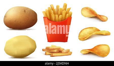 Vector 3d realistic set of potato snacks, tasty french fries in red box, raw vegetable and peeled, crispy and spicy chips isolated on background. Unhe Stock Vector