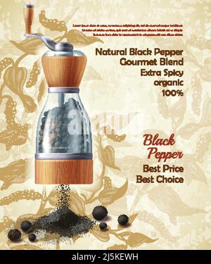 Vector banner with pepper mill, filled with black peppercorns on textured background. Natural ground spice, seasoning for eating. Vintage poster with Stock Vector