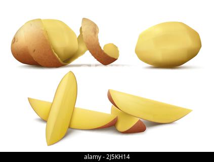 Vector realistic clipart with raw peeled potato, whole vegetable with brown spiral peel and slices isolated on white background. Natural organic food, Stock Vector