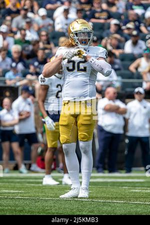 Notre Dame linebacker Bo Bauer (52) during an NCAA football game ...