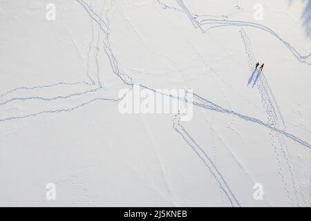 Chains of footprints in the snow. Top drone view. Winter nature. Skiing people. Stock Photo