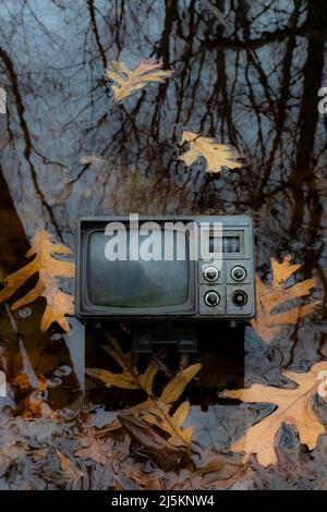 White Oak, leaves on Beaver pond with tree reflections and television in Woodland Park and Nature Preserve in Battle Creek, Michigan, USA Stock Photo