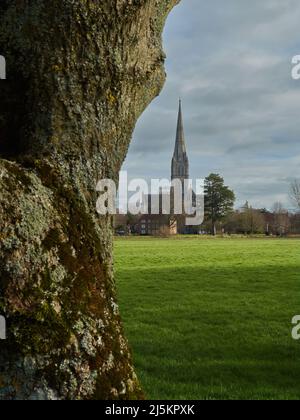 A view of Salisbury Cathedral in slanting sunlight, looking across the greenery of Harnham Water Meadows and with a blue and cotton-wool clouded sky. Stock Photo