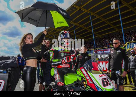 ASSEN - Jonathan Rea (GBR) on his Kawasaki on pole position on the grid for the start of the World Championship Superbike race at the TT Circuit Assen. ANP VINCENT JANNINK Stock Photo