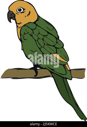 Vector illustration of parrot colored and depicted by a line. Hand drawn parrot. Stock Vector