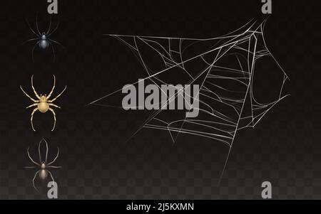 Vector collection of realistic cobweb and spider. Web with insect isolated on dark background. White sticky, scary element for Halloween, horror decor Stock Vector