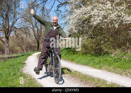 A funny elderly man rides his bike on a dirt road past flowering sloe bushes and waves his arm and one leg. Stock Photo