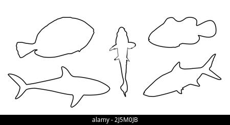 Set black silhouette outline clownfish, sardine, goldfish and surgeonfish sign icon on white background. Vector clipart illustration. Stock Vector