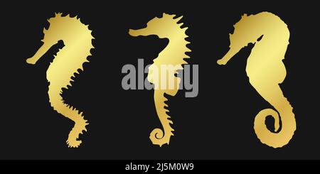 Set golden sea horse sign icon on black background. Gold vector clipart illustration. Stock Vector