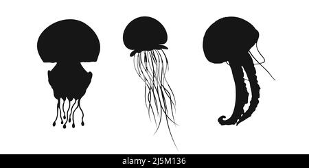 Set black jellyfish, medusa, sea jelly or nettle-fish sign icon on white background. Vector clipart illustration. Stock Vector