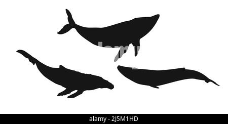 Set black whale, cachalot, narwhal, unicorn-fish, killer whale, white whale or sperm whale sign icon on white background. Vector clipart illustration. Stock Vector