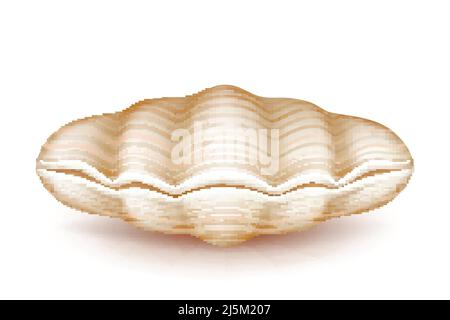 Sea mollusk closed, beige shell 3d realistic vector icon isolated on white background. Original soapbox, decorative case for jewelery of pearls, weddi Stock Vector