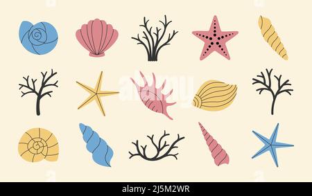 Set of various simple sea shells, starfish and corals. Vector illustration. Stock Vector