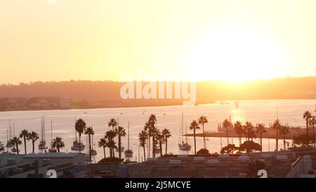 Palm tree silhouettes by ocean harbor at sunset, San Diego, California coast, USA. Coronado island and yacht boats in harbour, palmtrees by marina under orange sky. Nautical vessels in bay at sundown. Stock Photo
