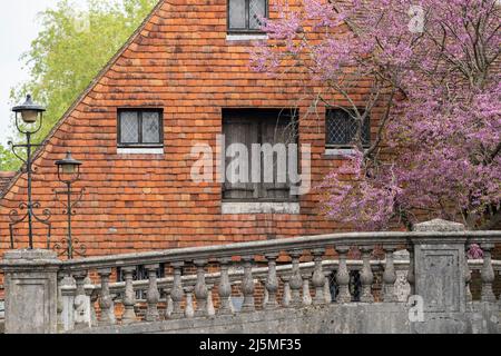 Spring time at the Winchester City Mill - a restored water mill situated on the River Itchen in the centre of the ancient English city of Winchester Stock Photo