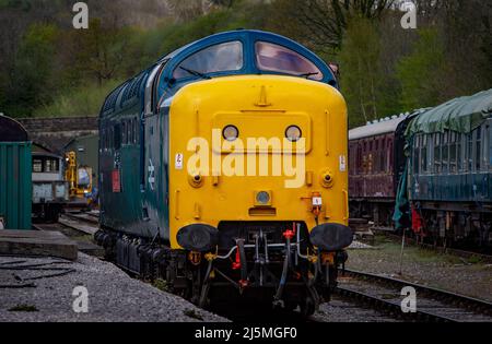 Former BR Class 55 'Deltic', 55019 named 'Royal Highland Fusilier' operating into Wirksworth station, on the Ecclesbourne Valley Railway. Stock Photo