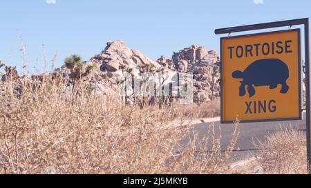 Tortoise or turtle crossing warning yellow road sign, California USA. Wild animals xing traffic signage. Wildlife fauna protection, highway in desert wilderness. Road trip in Joshua Tree national park Stock Photo