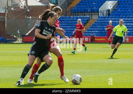 Birkenhead, UK. 24th Apr, 2022. Liverpool team celebrate with trophy after  winning the FA Women's Championship 2021-22 after winning the Womens  Championship football match between Liverpool and Sheffield United 6-1 at  Prenton