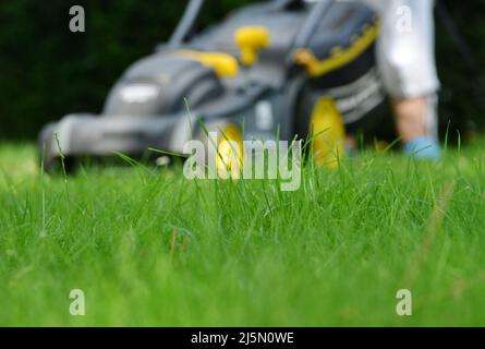 Motor blazer, lawn mover on the garden green Stock Photo