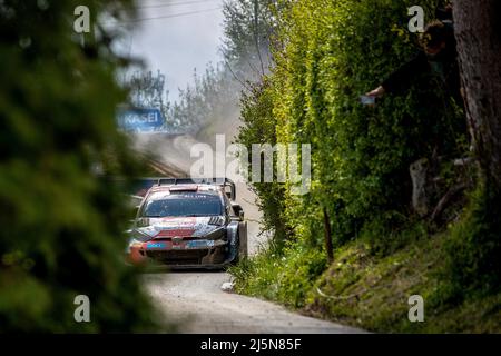 Zagreb, Croatia. 24th Apr, 2022. Kalle Rovanpera and his co-driver Jonne Halttunen of Finland compete in their Toyota GR Yaris Rally1 car during the 2022 Croatia Rally, third round of the FIA World Rally Championship in Kumrovec, Croatia, on April 24, 2022. Credit: Luka Stanzl/PIXSELL via Xinhua/Alamy Live News Stock Photo