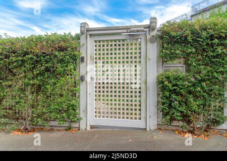 Single gate door with grid railings and shrubs on the fence at San Francisco, California. Concrete entrance with mailbox on the right side fence near Stock Photo