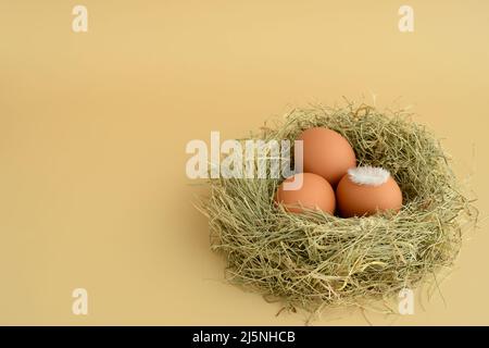 Easter eggs in nest on a creamy beige background, copy space. Easter clipart. Easter background Stock Photo