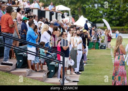 https://www.alamy.com/image-license-details/?v\u003d1