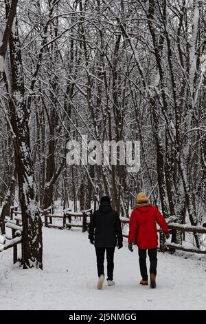 Two men in black and red walking in the forest in winter season. Stock Photo